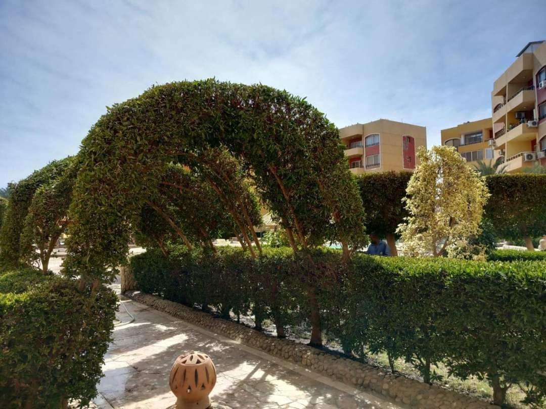 Apartment Alhambra